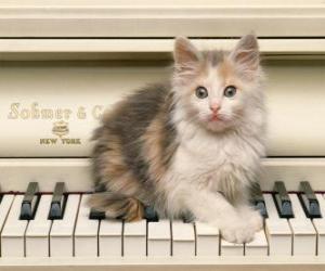Puzzle Πάνω από ένα γατάκι παίζει πιάνο